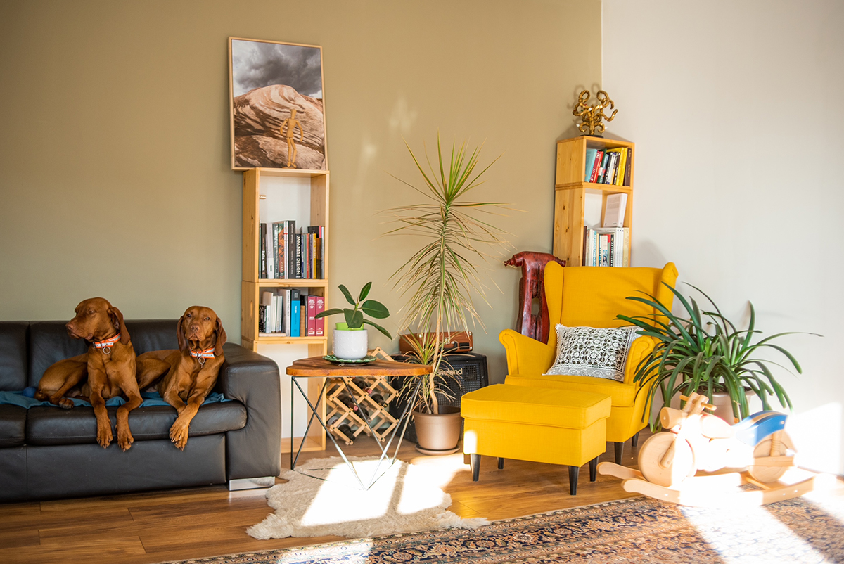 Szász-Bányász Anna